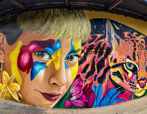 Gallery Of Street Art By Frank Machuca - Peru