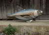 Gallery of Sculpture by Andrzej Szymczyk - Poland