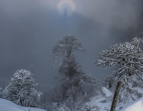 Gallery Of Photography By Fernando Gudenschwager - Chile