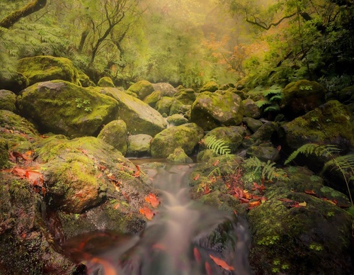 Galería de fotografía de Jorge Reinaldo - Portugal