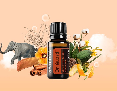 guillermo flores pacheco