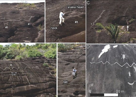 Arte rupestre retrata cobra gigante na América do Sul