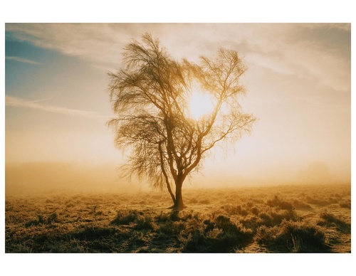 Gallery Of Photography By Daniel Casson - England