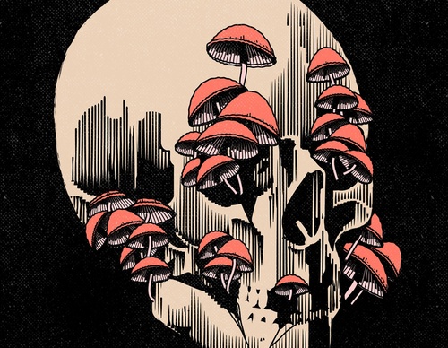 Galeria de ilustrações de Manuel Cetina - México