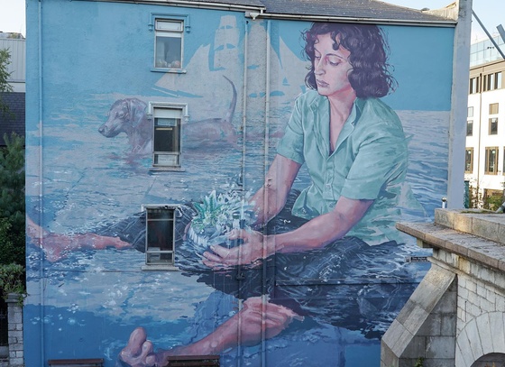 Fintan Magee