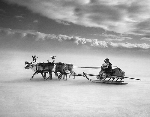 Galeria de Fotografia de Sebastião Salgado-Brasil