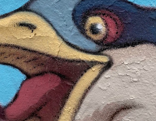 Gallery Of Street Art By Elchicho - Mexico