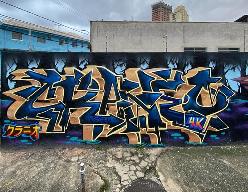 Gallery Of Street Art By Cranio - Brazil