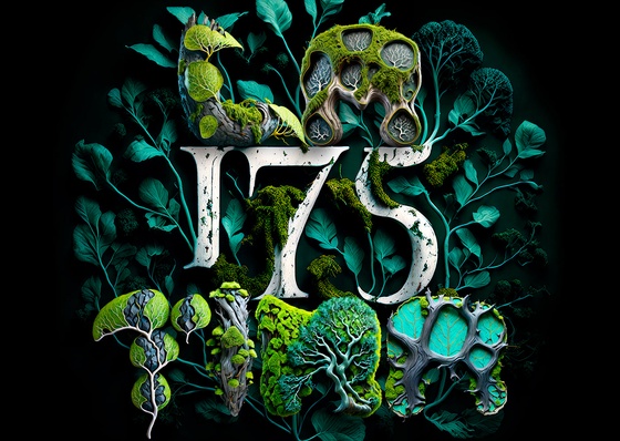 Gallery of Graphic Design by Zanessa Zuniga - Ecuador