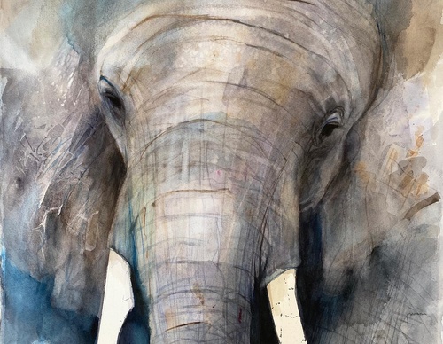 Gallery of Watercolor painting by Anette Gustafsson-Sweden