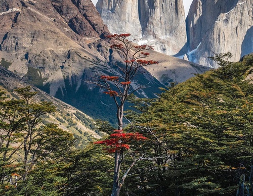 Gallery Of Photography By Timothy Dhalleine - Chile