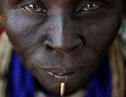 Galería de fotografía de Alessandro Bergamini - Italia