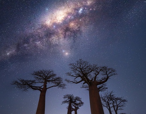 Gallery Of Photography By Isabella Tabacchi - Chile