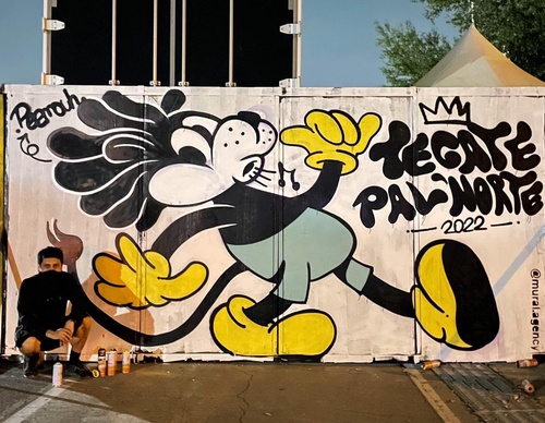 Gallery Of Street Art By Peemouh - Mexico