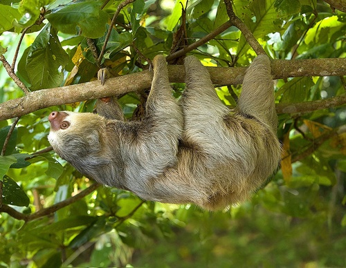 costa rica jim zuckerman