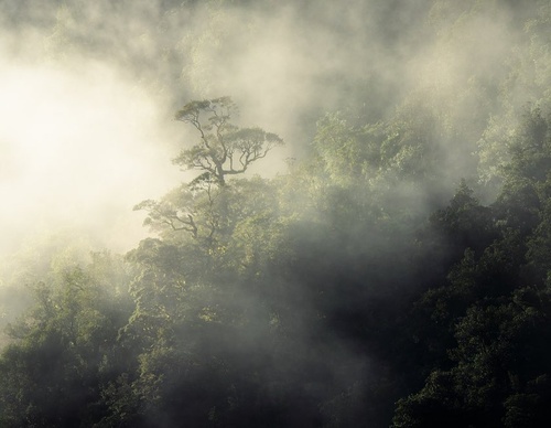 Galeria de fotografias de William Patino - Nova Zelândia