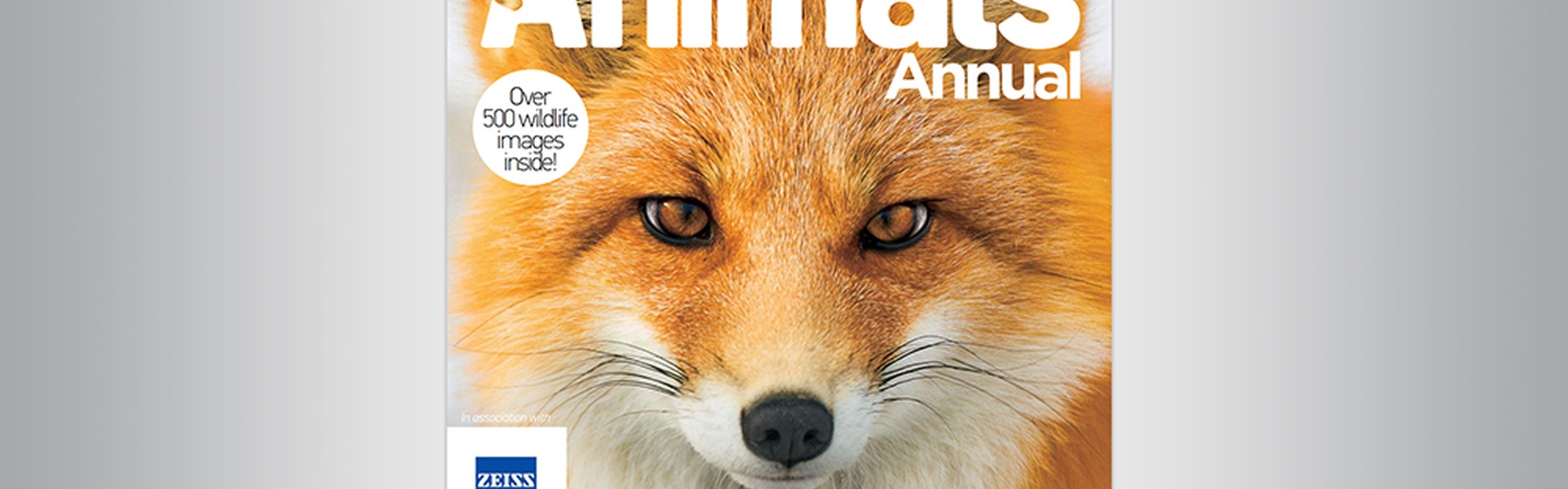O mundo dos animais