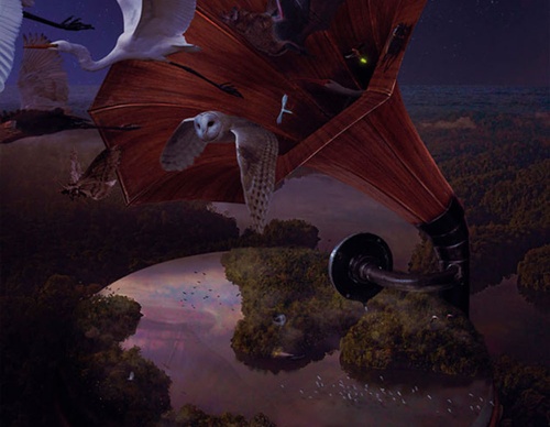 jorge gamboa