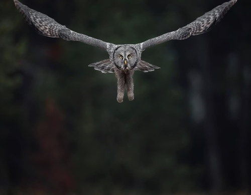 Galeria de Fotografia de Isaac Spotts - EUA
