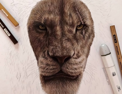 Gallery Of Realistic Painting By David Dias - Brazil