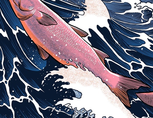 Galeria de ilustrações de Pedro Correa - Brasil