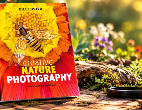 Fotografía creativa de naturaleza: consejos y técnicas esenciales