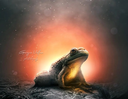Gallery Of Illustration By Giorgos - Greece