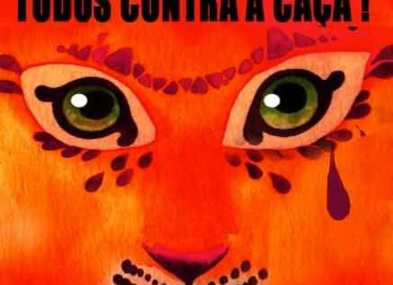 Cris Eich