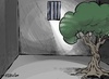 The Palestinian trees - Mohammad Sabaaneh - Palestine, State of