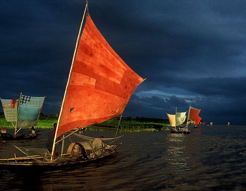 shahidul alam