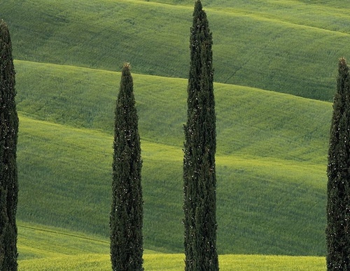 Gallery Of Photography By Marco Grassi - Argentina