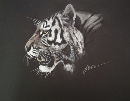 jorge castrillon