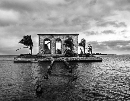 raul canibano