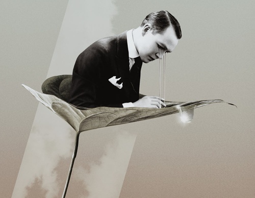 julien pacaud