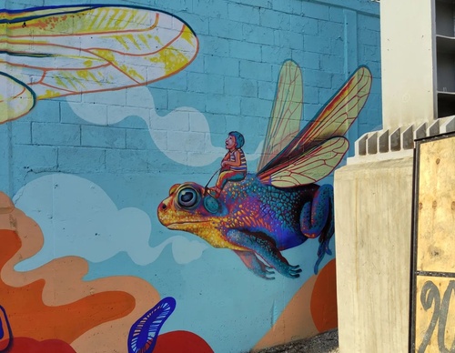 Galería de arte callejero de Nashi Bime - México