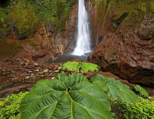 costa rica jim zuckerman