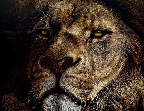 Galería de pintura realista de Annie Drew - Reino Unido