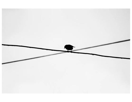 Gallery of photography by Ahmed Mansour - Egypt