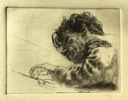 Galeria de Desenho de Andreas Vanpoucke-Bélgica