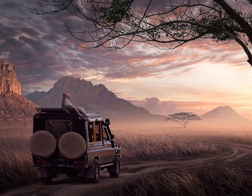 Galeria de pôsteres de Jack Usephot - Brasil