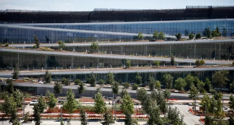 Artistas latinoamericanos MACLA y Montalvo unen fuerzas para una exposición