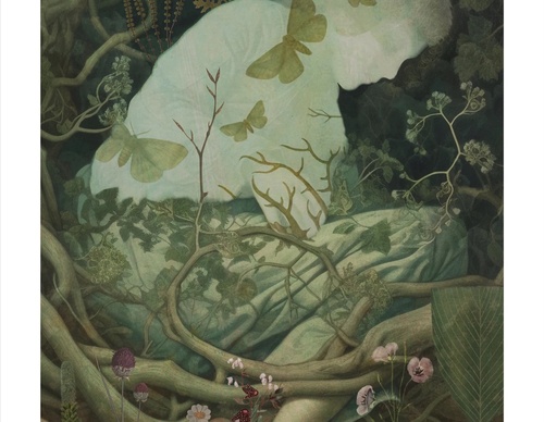 Galeria de ilustrações de Sarah Jarrett - Jamaica