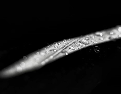 Galería de fotografía de Patricio Rodríguez - Argentina