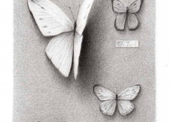 david alvarez