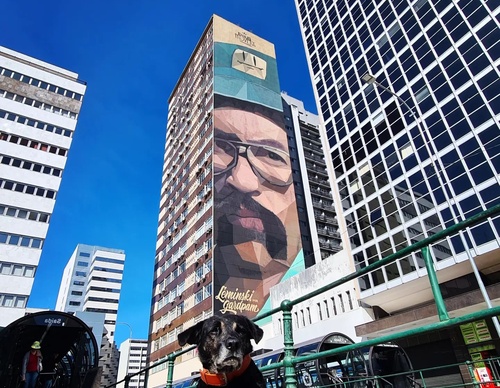 Gallery Of Street Art By GardPam - Brazil