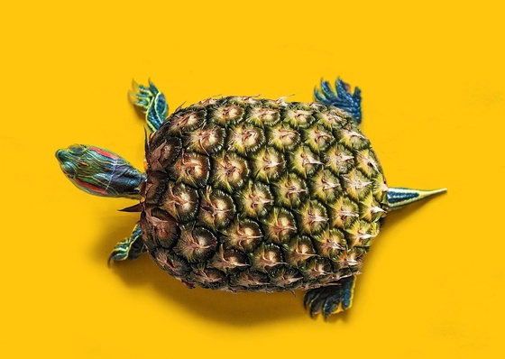 Gallery of Graphic Works by Les Creatonautes - France