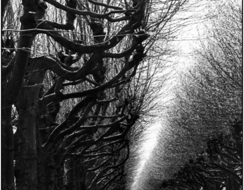 martine franck