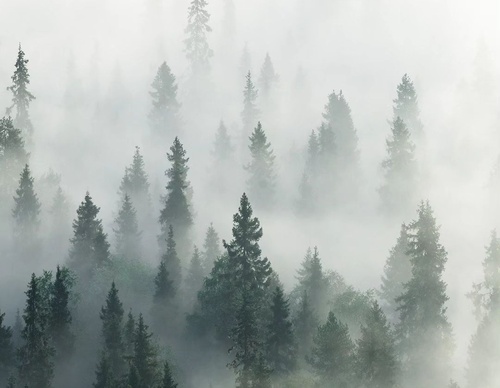 Gallery Of Photography By Elias Kalliola - USA