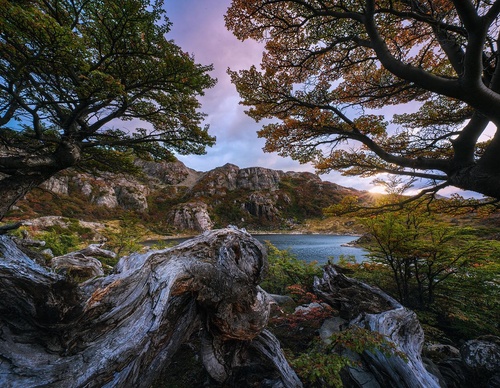 Gallery Of Photography By Rodrigo Viveros - Chile