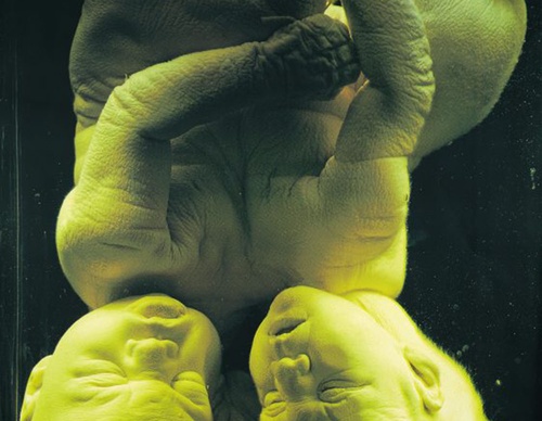 anthon beeke